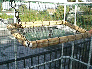 The Hanging Basking Hammock