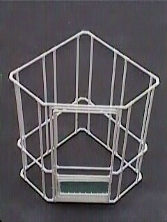 The Big Jungle Gym cage frame.