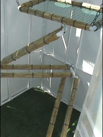 Z poles and Basking Hammock