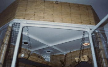 Scott's amazing ceiling!