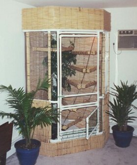Scotts cage for Iggy